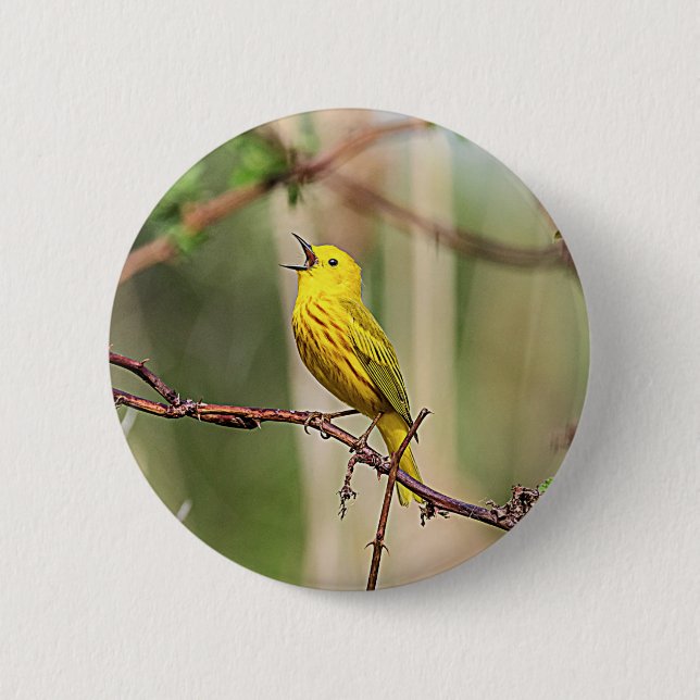 Badge Rond 5 Cm Paruline jaune chante (Devant)