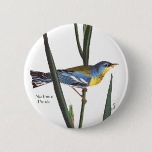 Badge Rond 5 Cm Paruline nordique, Audubon, Oiseau Birder Birdwatc