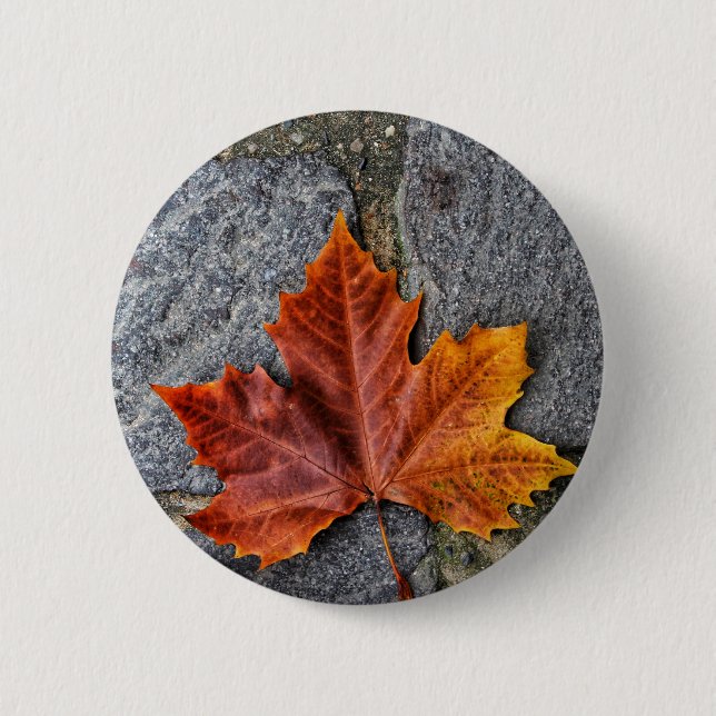 Badge Rond 5 Cm "Passer à l'automne" (Devant)