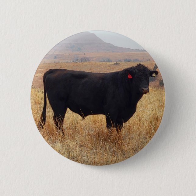 Badge Rond 5 Cm Pâturage de Steer Black Angus avec son troupeau (Devant)