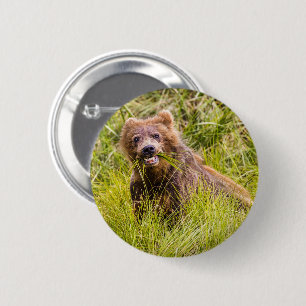 Badge Rond 5 Cm Pâturage des petits grizzlis, Alaska