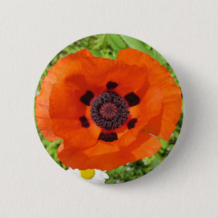 Badge Rond 5 Cm Pavot