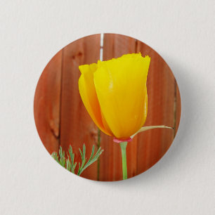 Badge Rond 5 Cm Pavot d'or