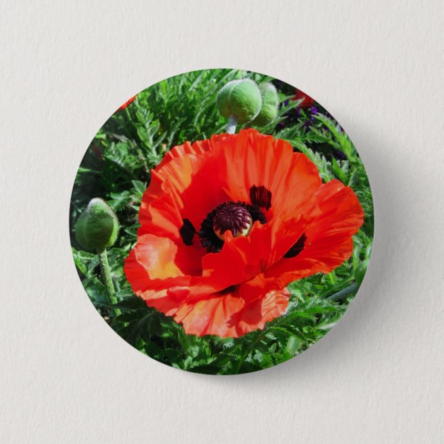 Badge Rond 5 Cm Pavot rouge - bouton (Devant)