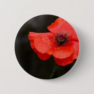 Badge Rond 5 Cm Pavot rouge brillant