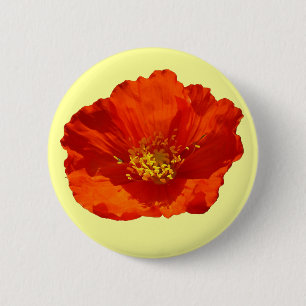 Badge Rond 5 Cm Pavot rouge de l'Alaska Fleur colorée