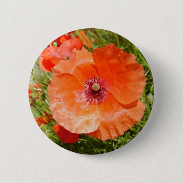 Badge Rond 5 Cm Pavots - Coquelicots (Devant)