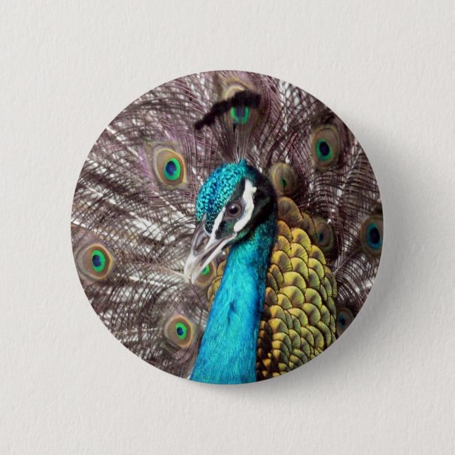 Badge Rond 5 Cm peacock (Devant)