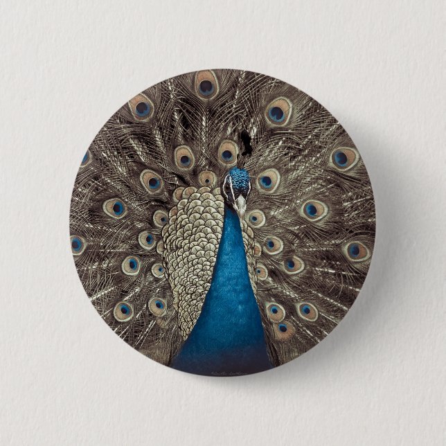 Badge Rond 5 Cm Peacock bleu antique (Devant)