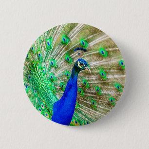 Badge Rond 5 Cm Peacock Plumage