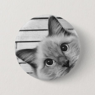 Badge Rond 5 Cm Peek-a-boo Ragdoll