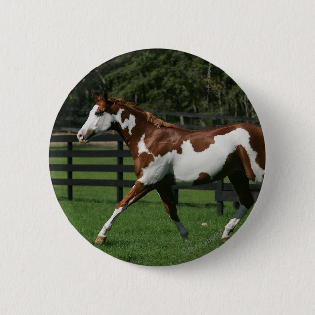 Badge Rond 5 Cm Peignez le cheval courant 1 (Devant)