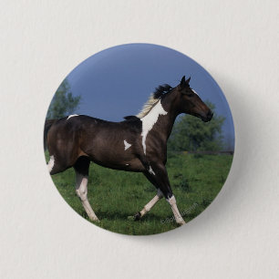 Badge Rond 5 Cm Peignez le cheval courant 2