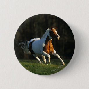 Badge Rond 5 Cm Peignez le cheval fonctionnant rapidement