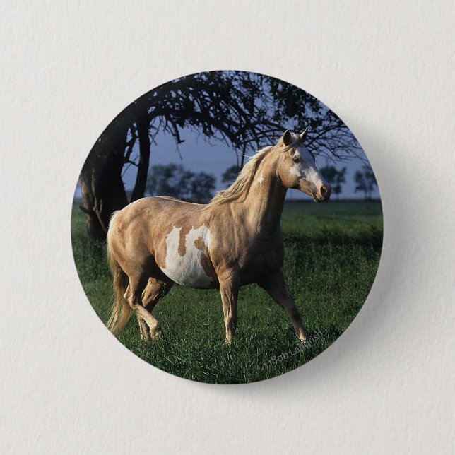 Badge Rond 5 Cm Peignez le cheval tenant 2 (Devant)