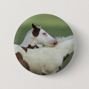 Badge Rond 5 Cm Peignez le jeu de poulains