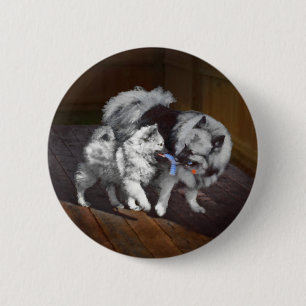 Badge Rond 5 Cm Peinture Keeshond Playtime - Jolie art original ch