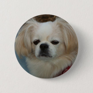 Badge Rond 5 Cm Pekingese mignon