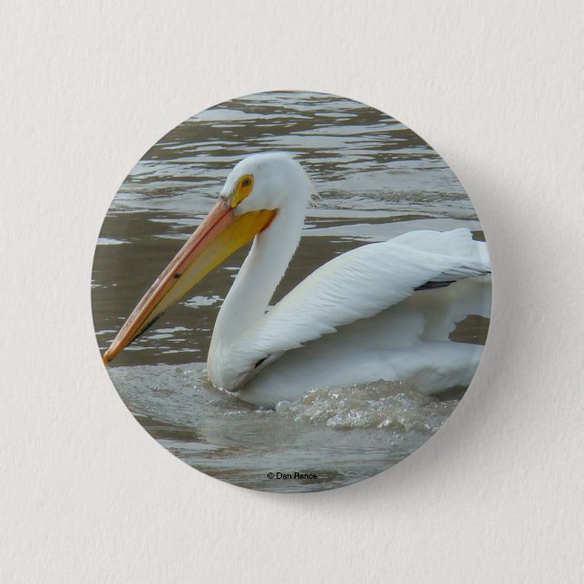 Badge Rond 5 Cm Pélican blanc B14 (Devant)