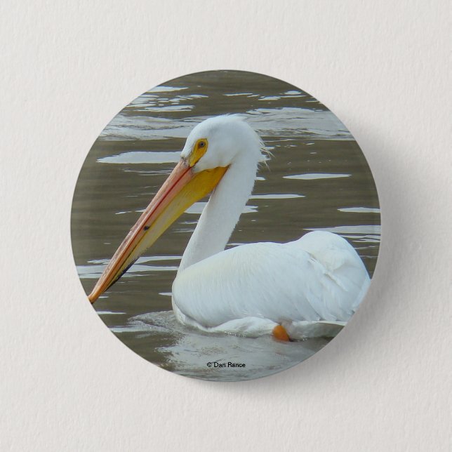 Badge Rond 5 Cm Pélican blanc B15 (Devant)