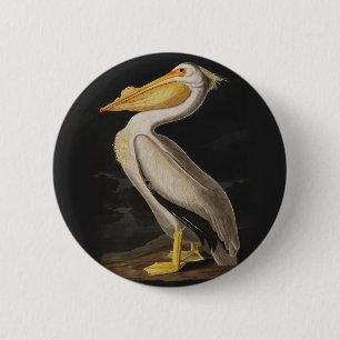 Badge Rond 5 Cm Pélican blanc d'Audubon - Impression vintage d'ois