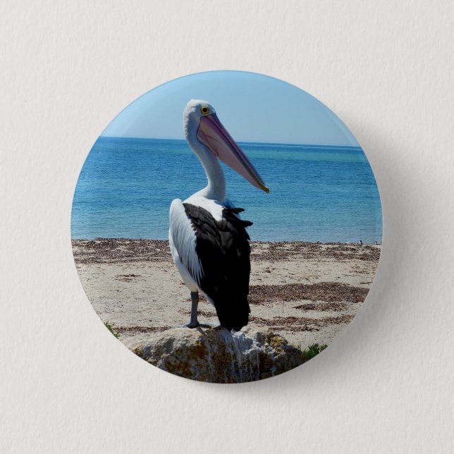 Badge Rond 5 Cm Pélican sur rocher de plage, (Devant)