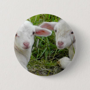 Badge Rond 5 Cm Pensée animale de bébé jumeau d'agneau à vous