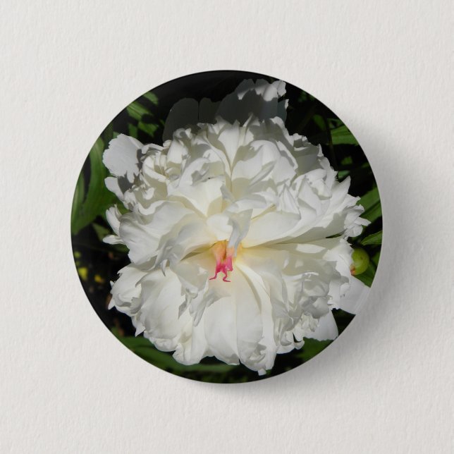 Badge Rond 5 Cm peony gros plan Paeonia lactiflora (Devant)