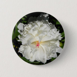 Badge Rond 5 Cm peony gros plan Paeonia lactiflora