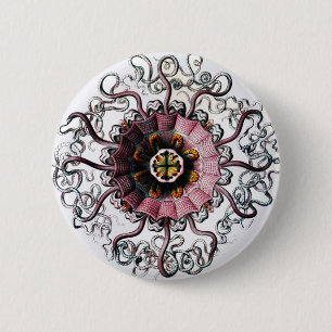 Badge Rond 5 Cm Peromedusae d'Ernst Haeckel