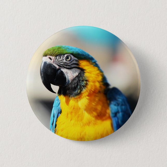 Badge Rond 5 Cm perroquet (Devant)