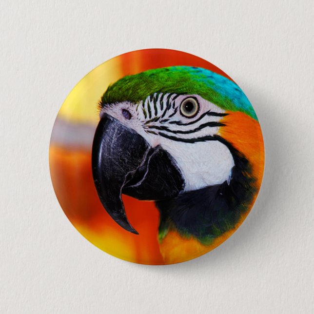Badge Rond 5 Cm Perroquet (Devant)