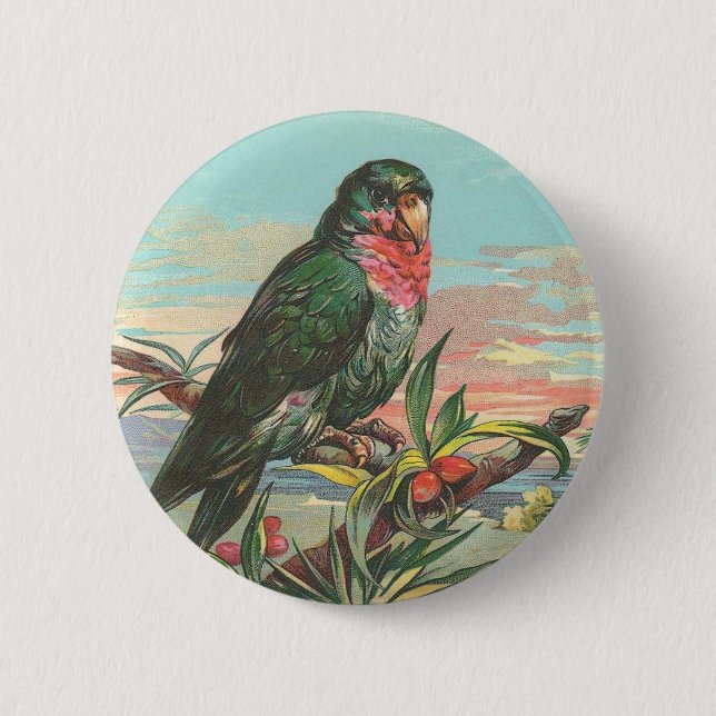 Badge Rond 5 Cm Perroquet (Devant)