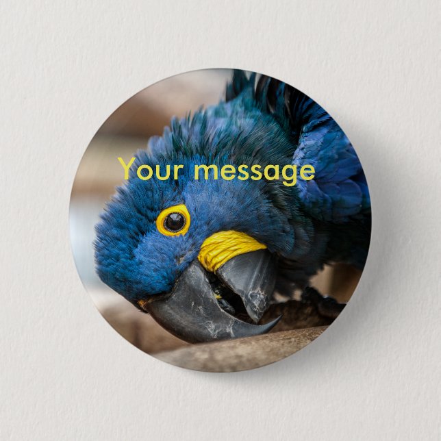 Badge Rond 5 Cm Perroquet bleu d'ara de jacinthe de bouton de (Devant)