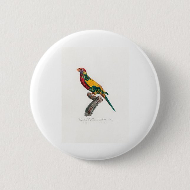 Badge Rond 5 Cm perroquet de macaw (Devant)
