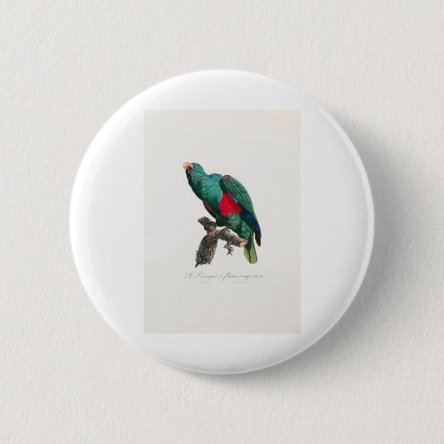 Badge Rond 5 Cm perroquet de macaw (Devant)