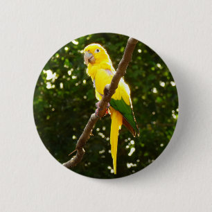 Badge Rond 5 Cm Perroquet jaune