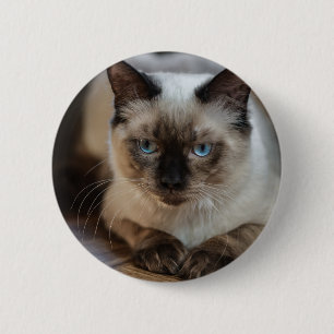 Badge Rond 5 Cm Personnalisé Pet Cat Image Ajouter Votre Propre Ph