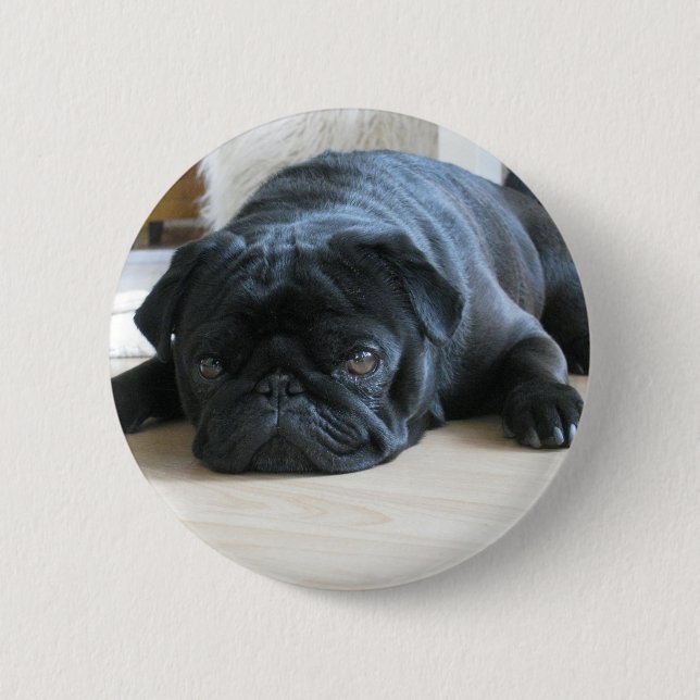 Badge Rond 5 Cm Personnaliser le Carlin noir mignon Nom des access (Devant)