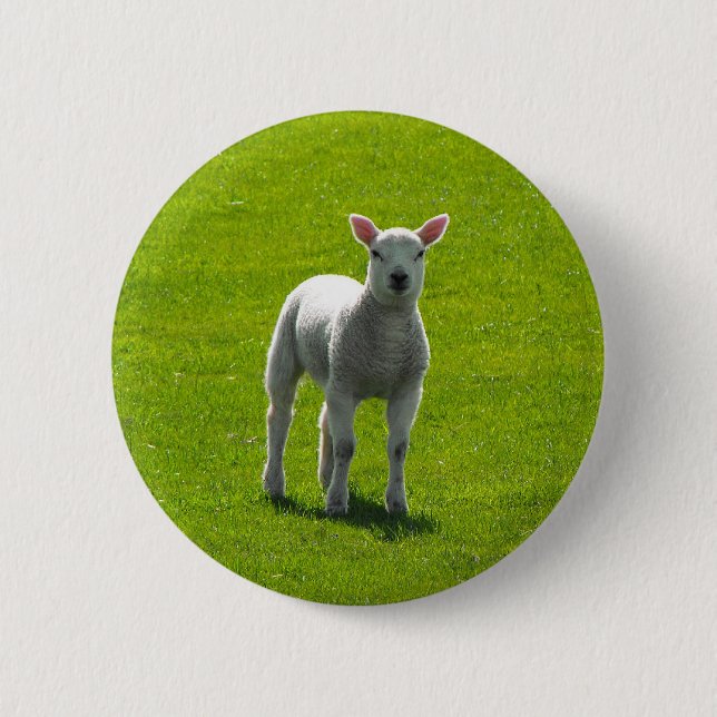 Badge Rond 5 Cm Petit agneau (Devant)