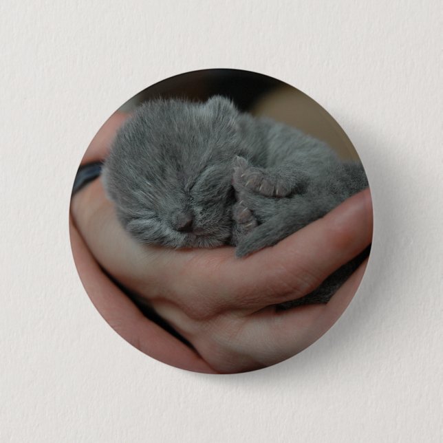 Badge Rond 5 Cm Petit Bébé bleu Kitten (Devant)