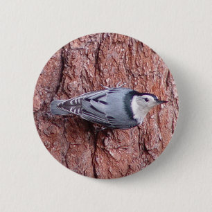 Badge Rond 5 Cm Petit bouton d'oiseau de sittelle
