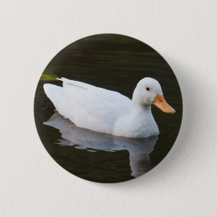 Badge Rond 5 Cm Petit canard blanc