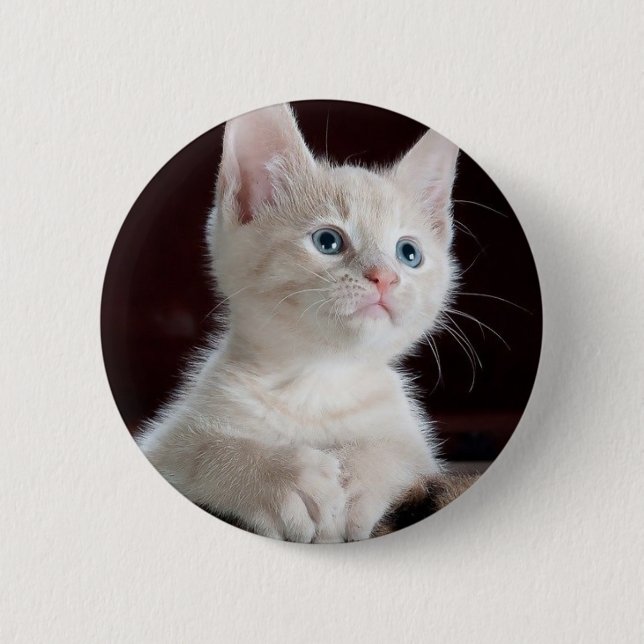 Badge Rond 5 Cm Petit chaton blanc (Devant)