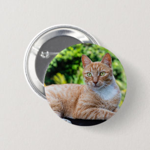 Badge Rond 5 Cm Petit chou doux