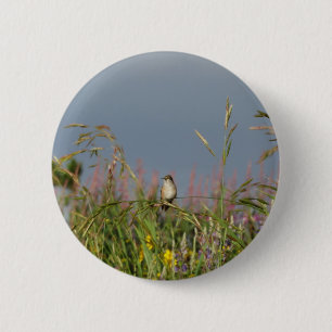 Badge Rond 5 Cm Petit colibri gras