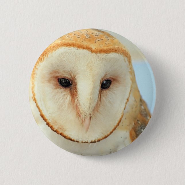Badge Rond 5 Cm Petit-duc (Devant)