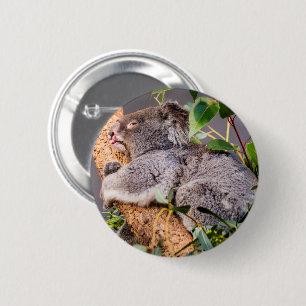 Badge Rond 5 Cm Petit koala doux