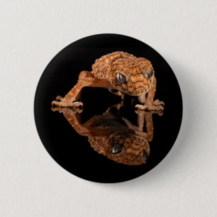 Badge Rond 5 Cm Petit lézard cuit Reptile avec réflexion