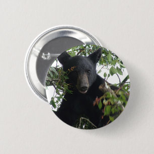 Badge Rond 5 Cm Petit ours d'ours noir dans un arbre